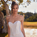 Satin and Taffeta