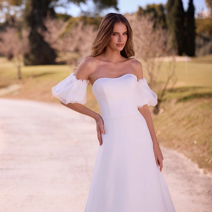 Dress Category Image two